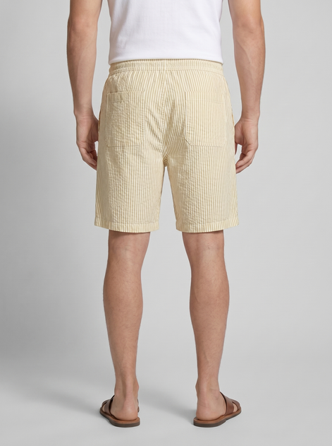 Men's Casual Striped Shorts with Adjustable Drawstring Waist