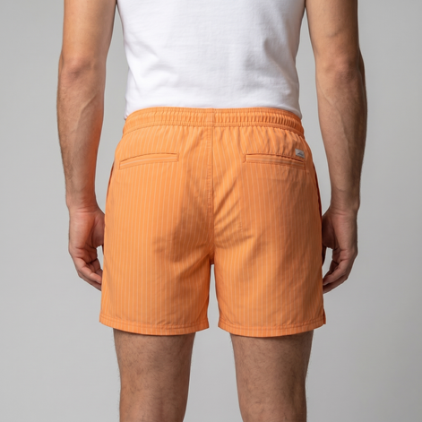 Men's Quick Dry Striped Swim Shorts