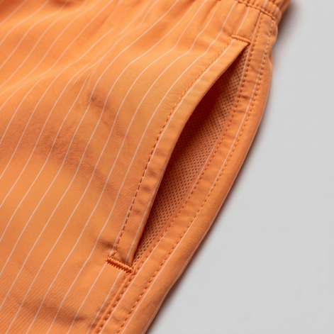 Men's Quick Dry Striped Swim Shorts