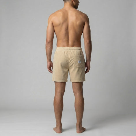 Men's Striped Swim Shorts
